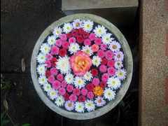 201302 Chiang Mai10